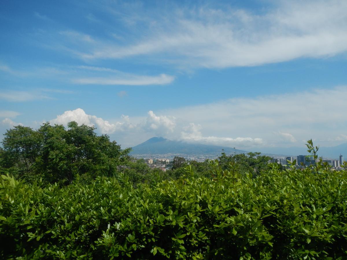 Zia Bi Bed And Breakfast Naples Exterior photo